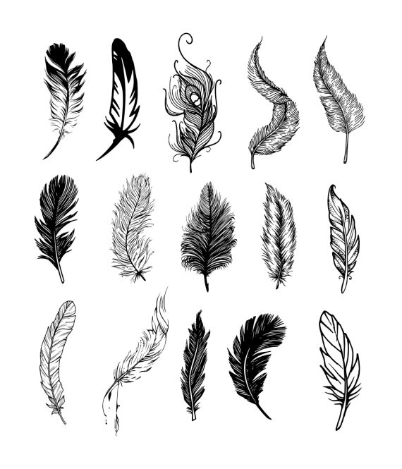 Cool Simple Feather Tattoo Design Idea